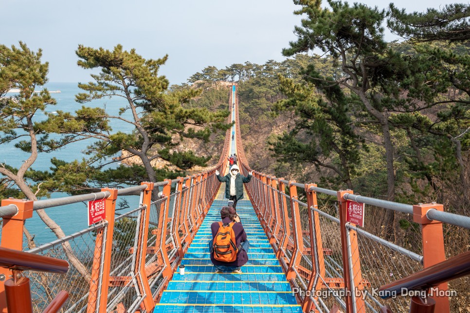 국내 당일치기 여행 울산 가볼만한곳 관광지 이색 데이트 코스 대왕암공원 출렁다리