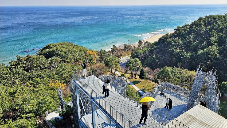 강릉 여행 코스 추천 강릉 명소  하슬라아트월드 실내 데이트 가볼만한곳!