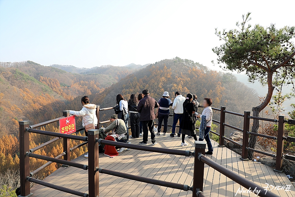 대전 장태산 자연휴양림 단풍 데이트 대전 단풍 명소