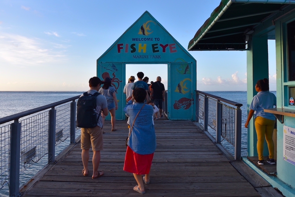 괌 여행 액티비티 돌핀크루즈 피쉬아이 디너쇼 마린팩 예약 할인!