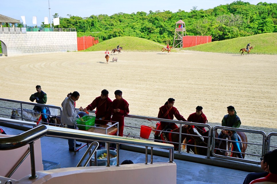 제주 서쪽 가볼만한곳 제주도 볼거리 제주 체험 추천