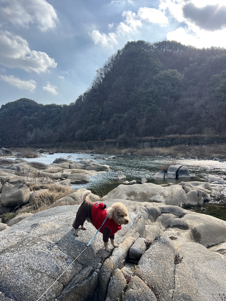 여행 인플루언서가 쉬운 줄 알아? 영월여행