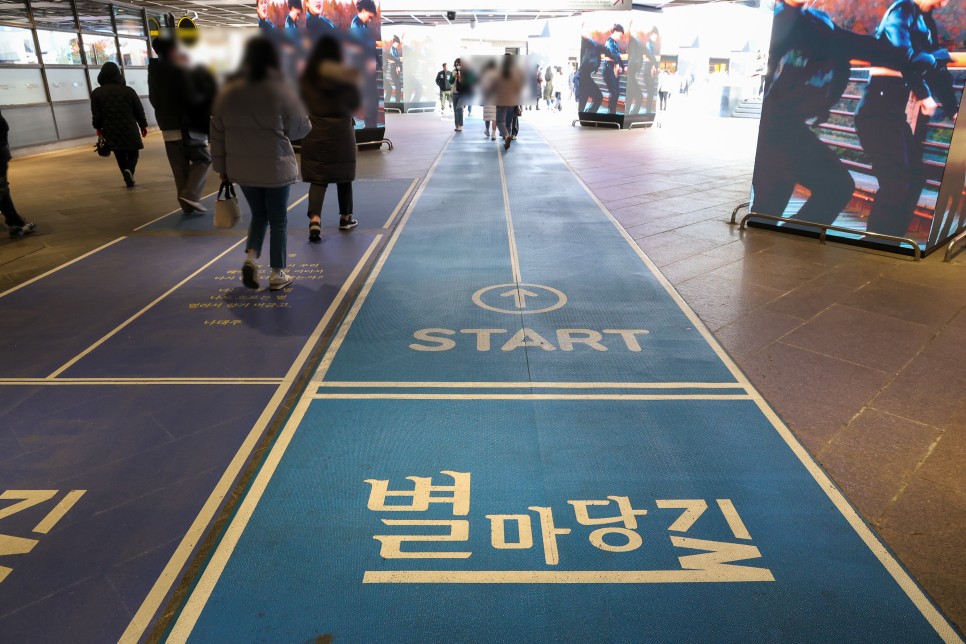 서울 크리스마스 가볼만한곳 서울 코엑스 별마당도서관 트리 서울 핫플레이스