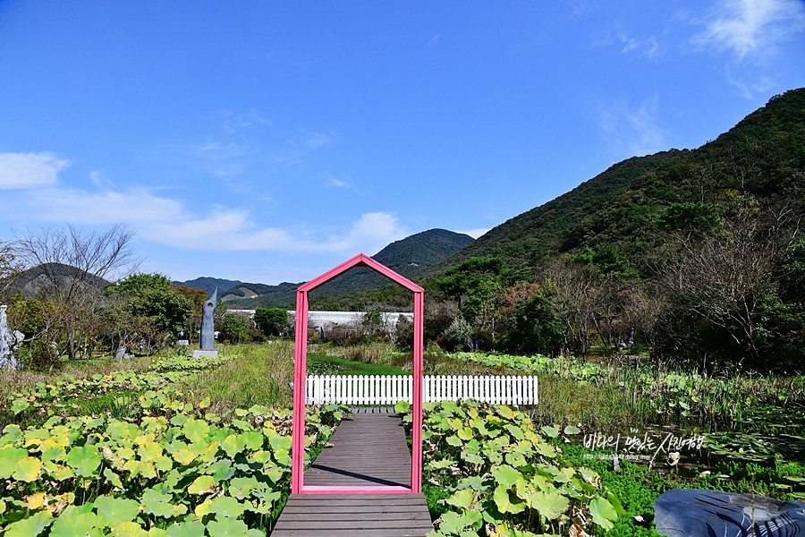 충남 여행 보령 개화예술공원 충남 데이트코스 나들이