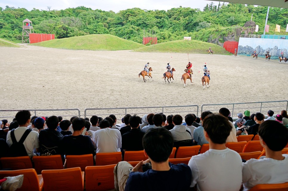 제주 서쪽 가볼만한곳 제주도 볼거리 제주 체험 추천