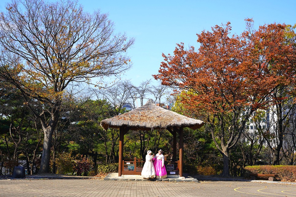 서울 갈만한곳 주말 나들이 단풍명소 서울 산책 하기 좋은곳 남산한옥마을