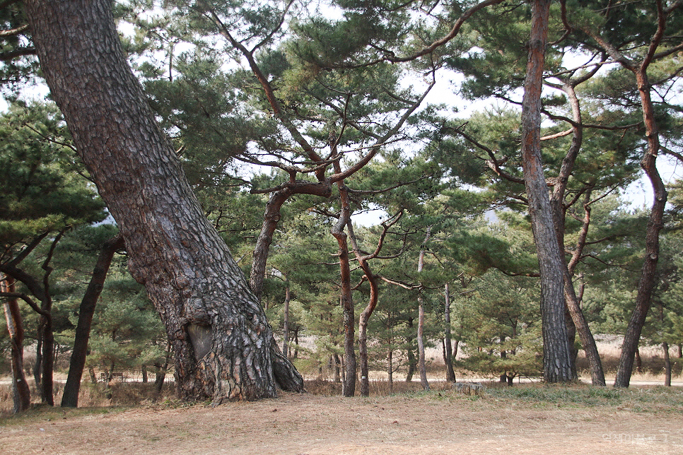 충청도 공주 가볼만한곳 여행 코스 공주 친환경 도보 여행 볼거리