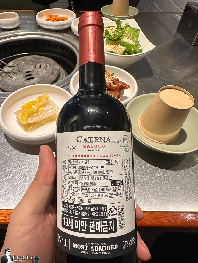 노원역 육회 맛집 청기와타운 트러플 아보카도 육회와 코스트코/이마트 와인, 아르헨티나 까테나 말벡 와인 추천