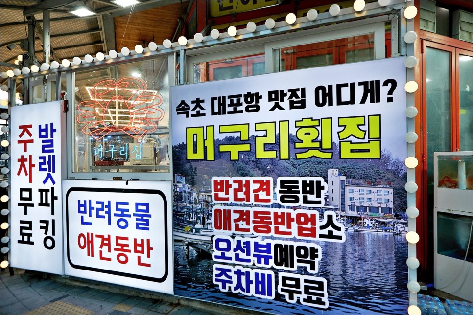 푸짐한 해산물 한 상 속초횟집 feat 애견동반식당!