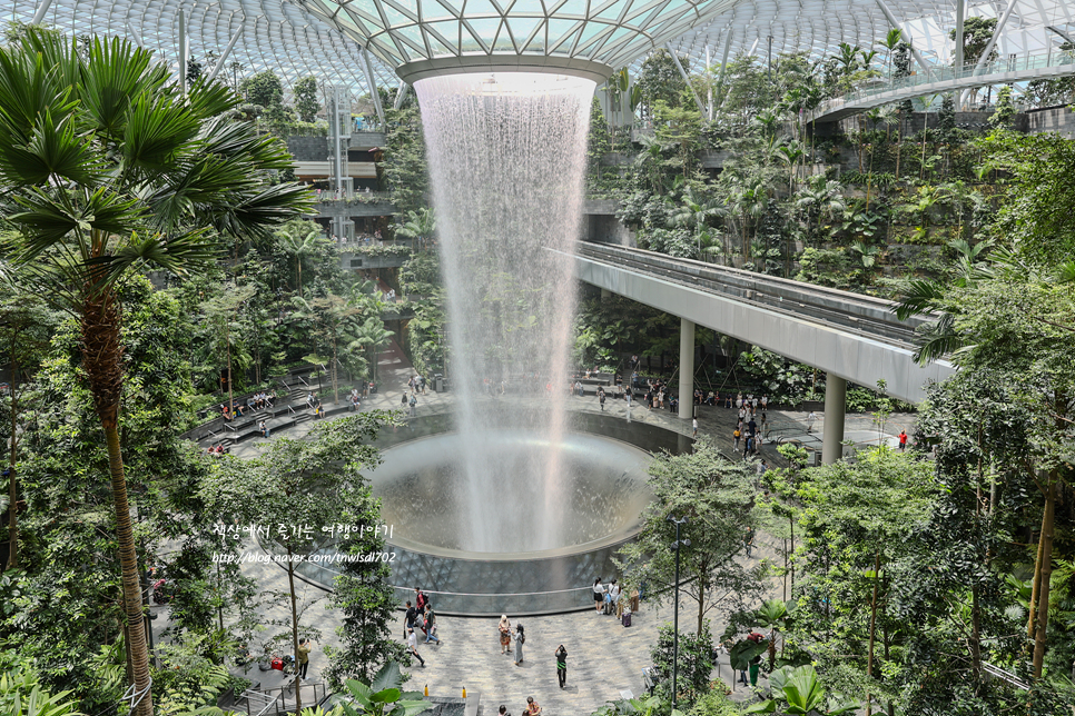 싱가폴 여행 싱가포르 창이공항 쥬얼 창이 가는법 폭포 시간