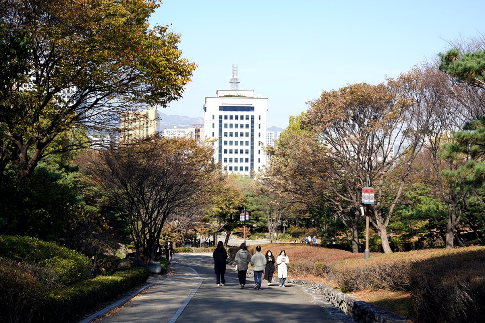 서울 갈만한곳 주말 나들이 단풍명소 서울 산책 하기 좋은곳 남산한옥마을