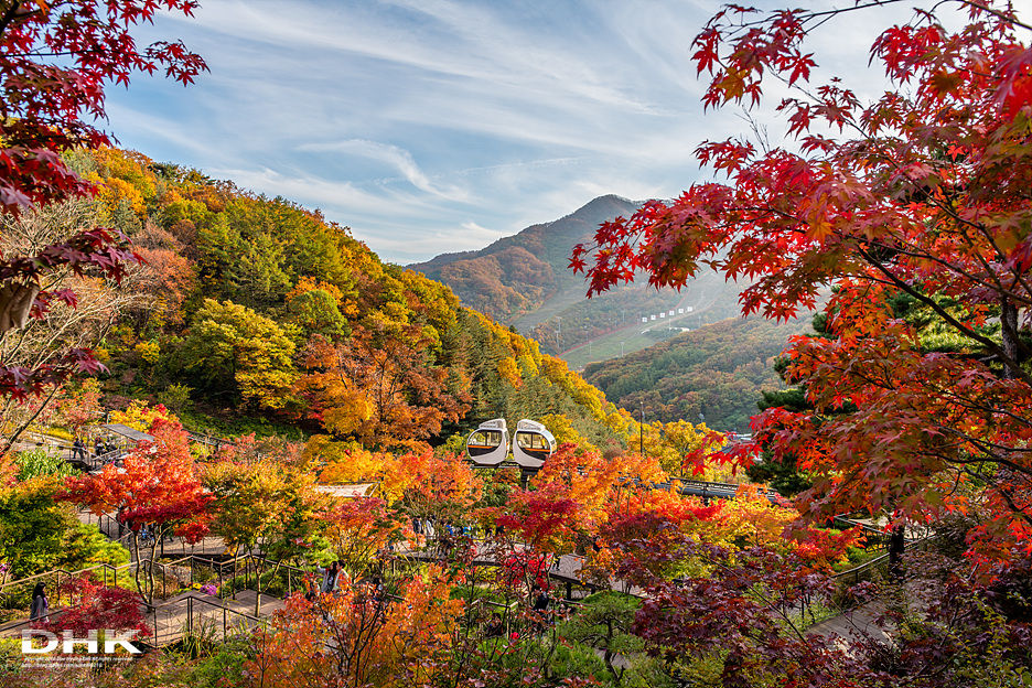 경기도 광주 가볼만한곳 화담숲 가을단풍축제 가을 명소 실시간 단풍 상황, 입장권 모노레일 예매방법