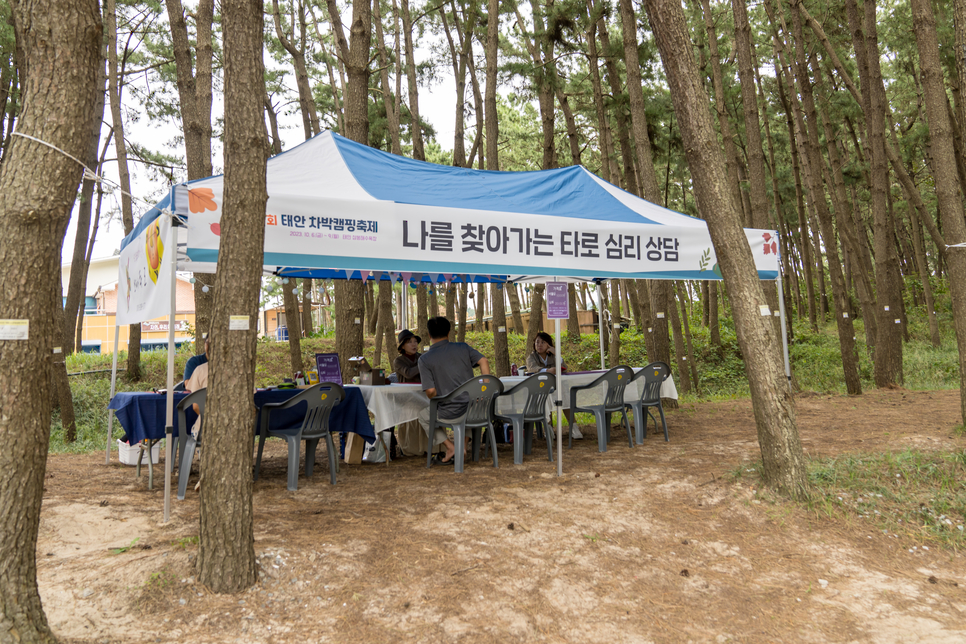 제1회 태안 차박캠핑 축제 삼봉 해수욕장에서 개최한 캠핑후기