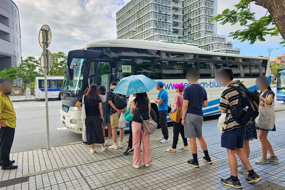 일본 오키나와 여행 가볼만한곳 버스투어 일정 수족관 등 자유여행 즐기기