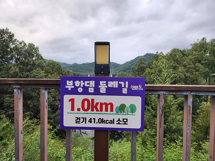 경북여행 김천 부항댐 출렁다리 걷기 좋은 길