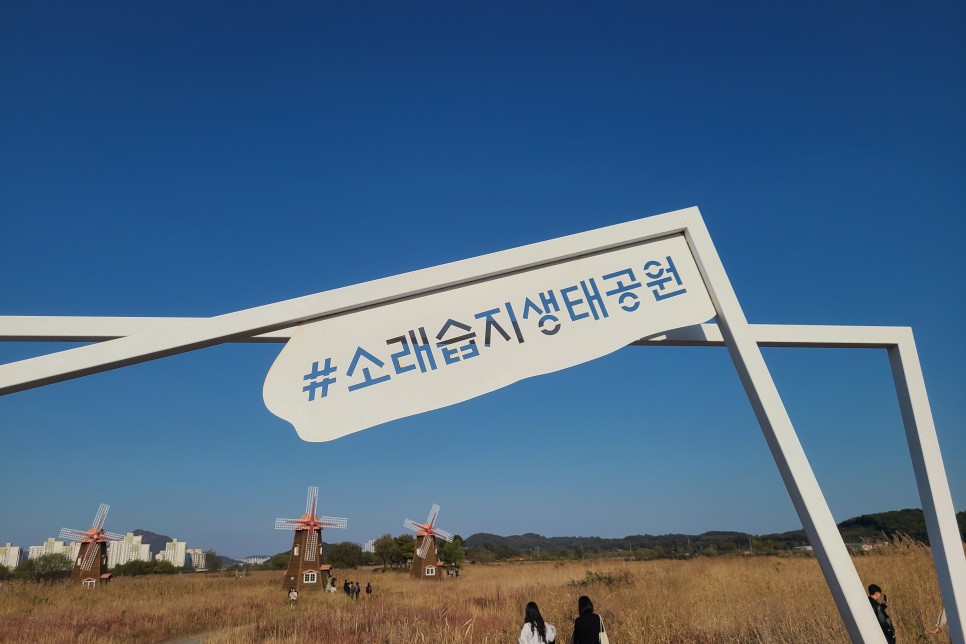 인천 갈만한곳 소래습지생태공원, 11월까지 주말 주차요금 무료! 갯벌체험 및 주말 나들이 가기 좋은 곳!