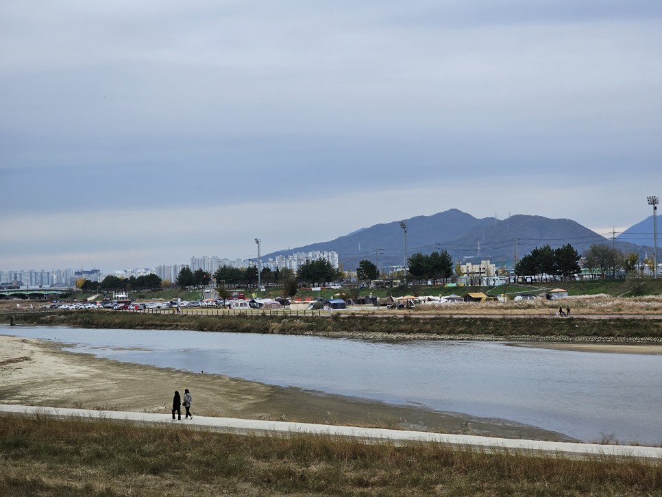 아산여행 아산가볼만한곳 곡교천 아산은행나무길 천안 아산캠핑장 곡교천야영장 주차장 이용