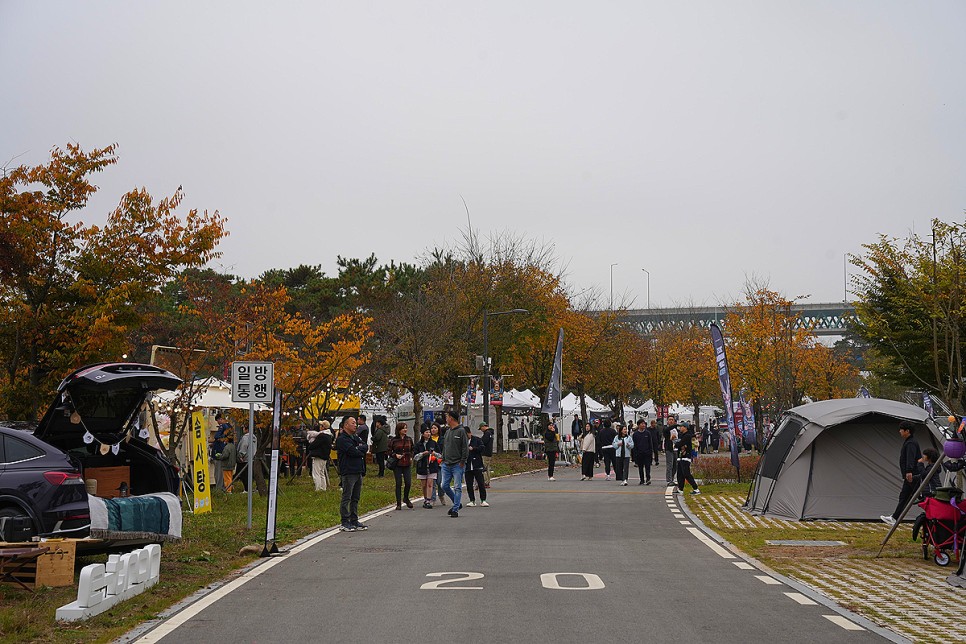 제3회 카즈미 원더캠프 페스타 캠핑후기 in 충주 목계솔밭 캠핑장