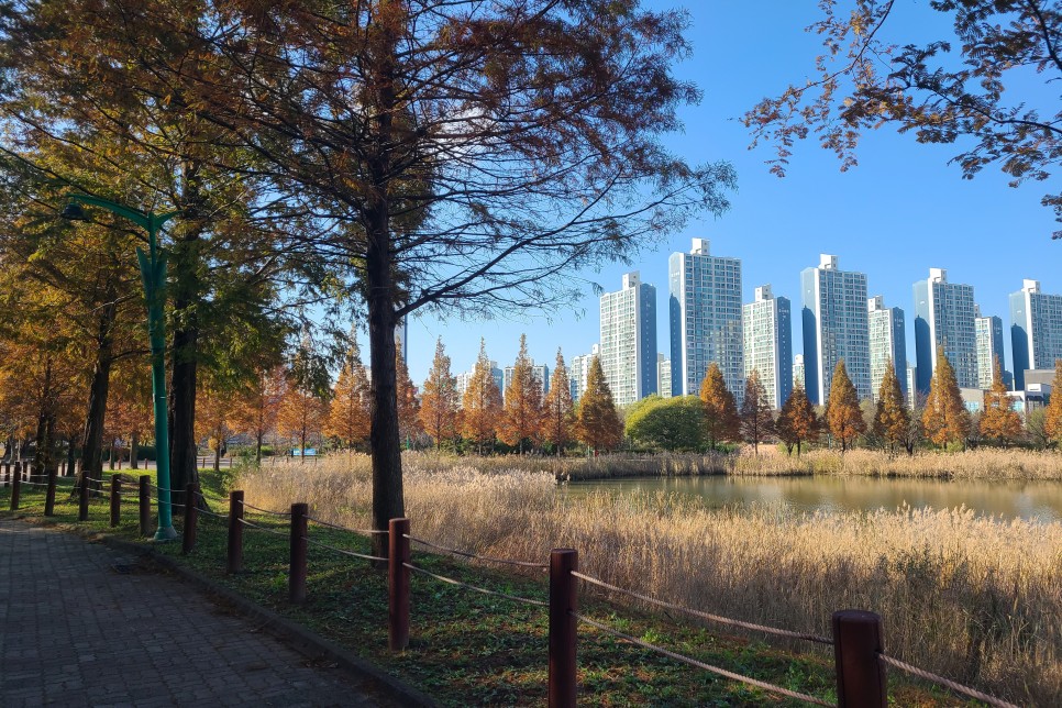 경기도 안산 주말 나들이 안산호수공원, 가을 분위기가 물씬!
