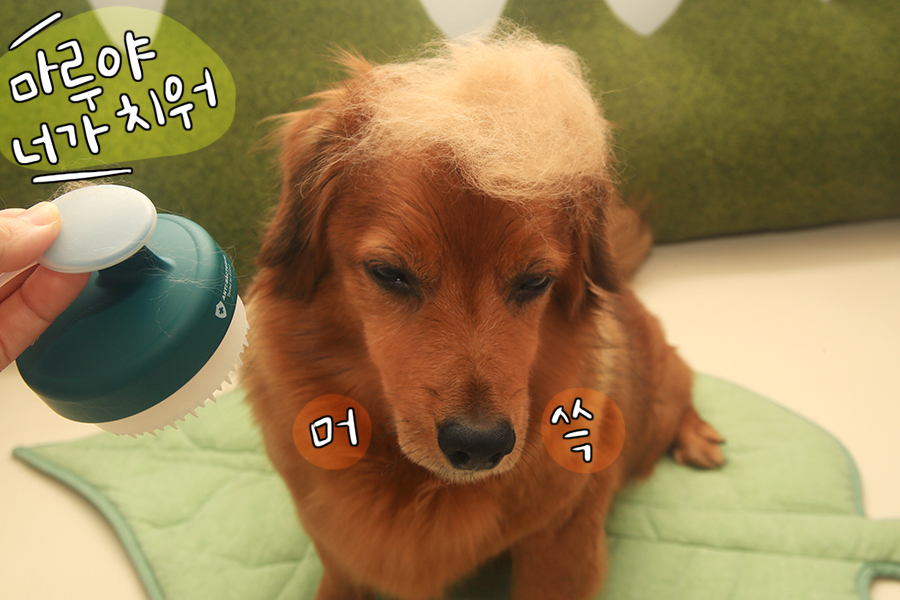 강아지 샴푸 : 올인원 펫샴푸 발레드샹 + 실리콘 브러쉬