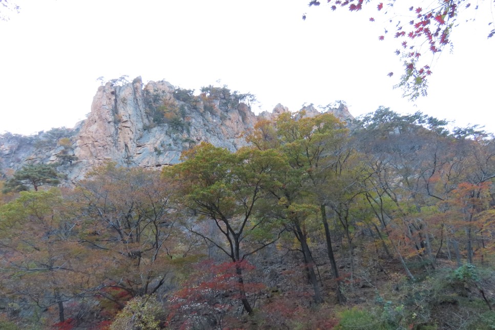 [설악산국립공원] 암봉과 기암 그리고 단풍이 어우러진 오색 주전골 탐방