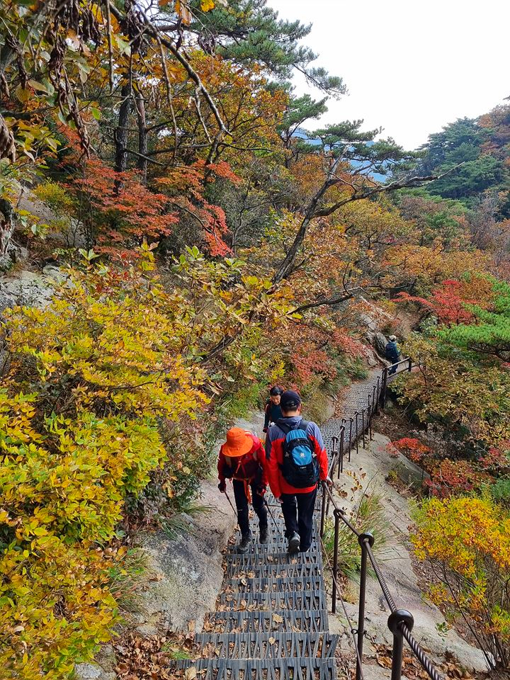 [북한산국립공원] 북한산의 기암절경과 어우러진 환상적인 가을 단풍에 반하다