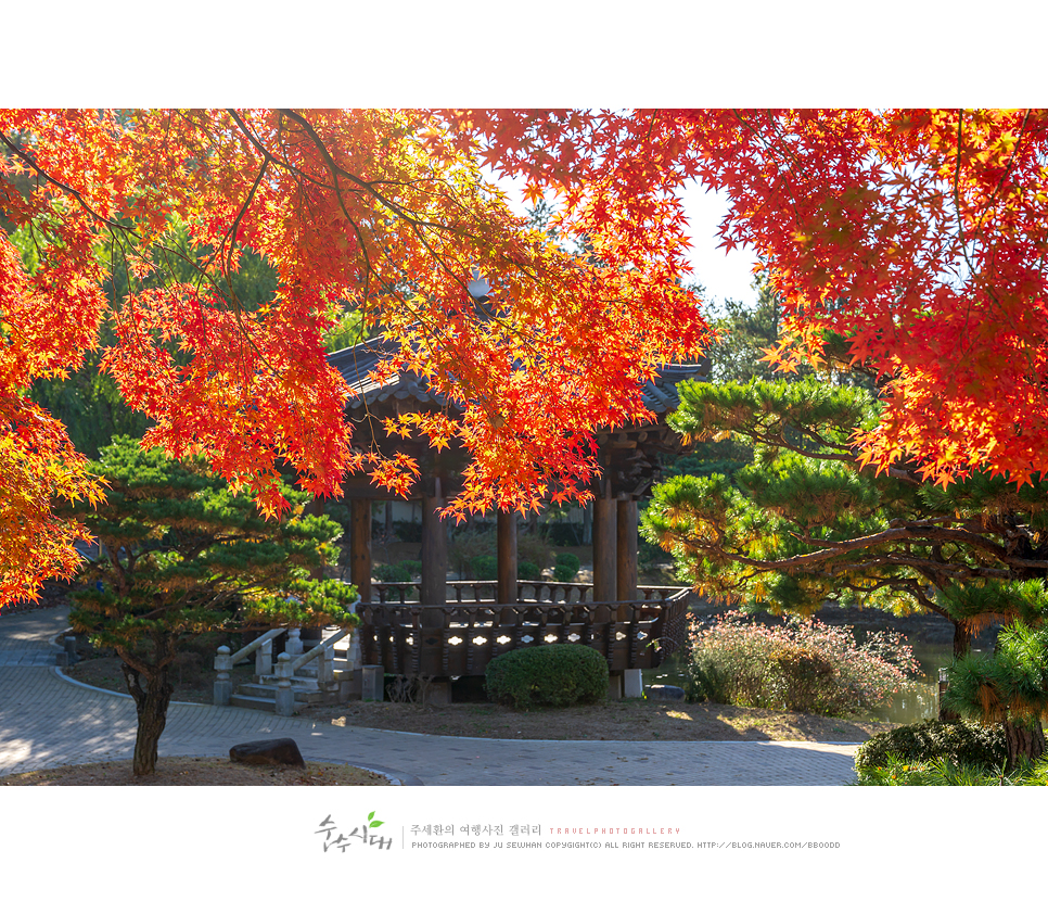 경북 여행 경주 가볼만한곳 불국사 입장료 단풍 명소 경주 여행 코스