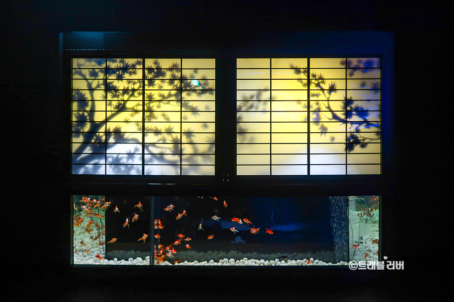 일본 도쿄 여행 볼거리 긴자 아트아쿠아리움 미술관