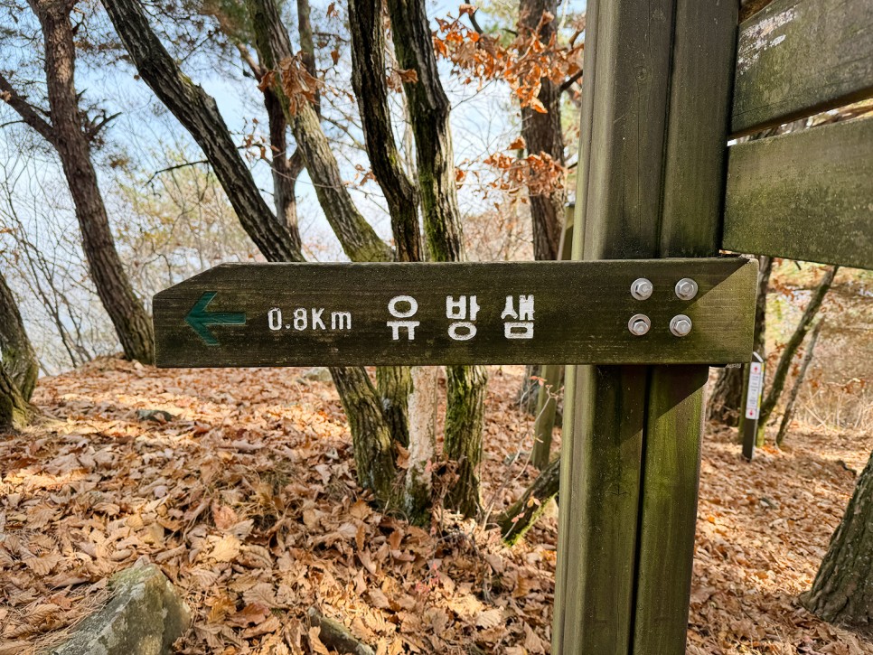 거창 <미녀봉> 능선 산행, 오도산 자연휴양림 출발 원점회귀 코스