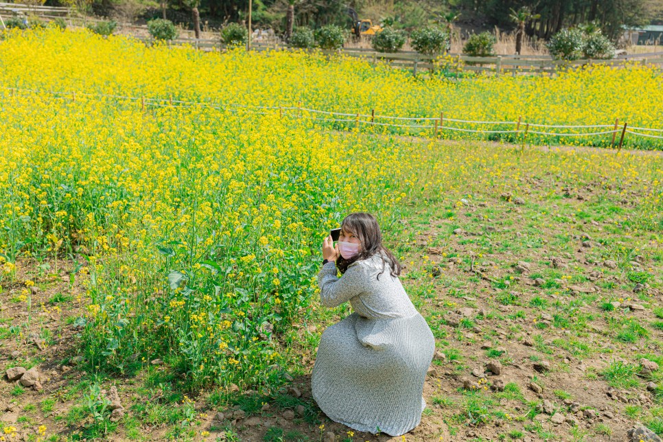 제주 애월 가볼만한곳 도치돌알파카목장