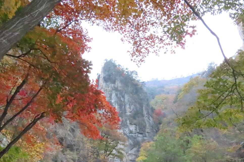 [설악산국립공원] 암봉과 기암 그리고 단풍이 어우러진 오색 주전골 탐방