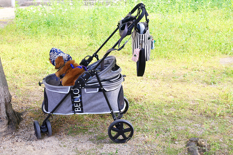 강아지산책가방 : 보냉 기능 유모차가방으로 편하게 산책하기