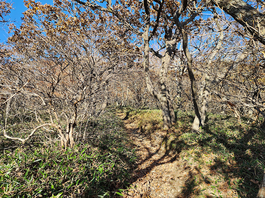 태백산 국립공원, 문수봉 코스 가을산행