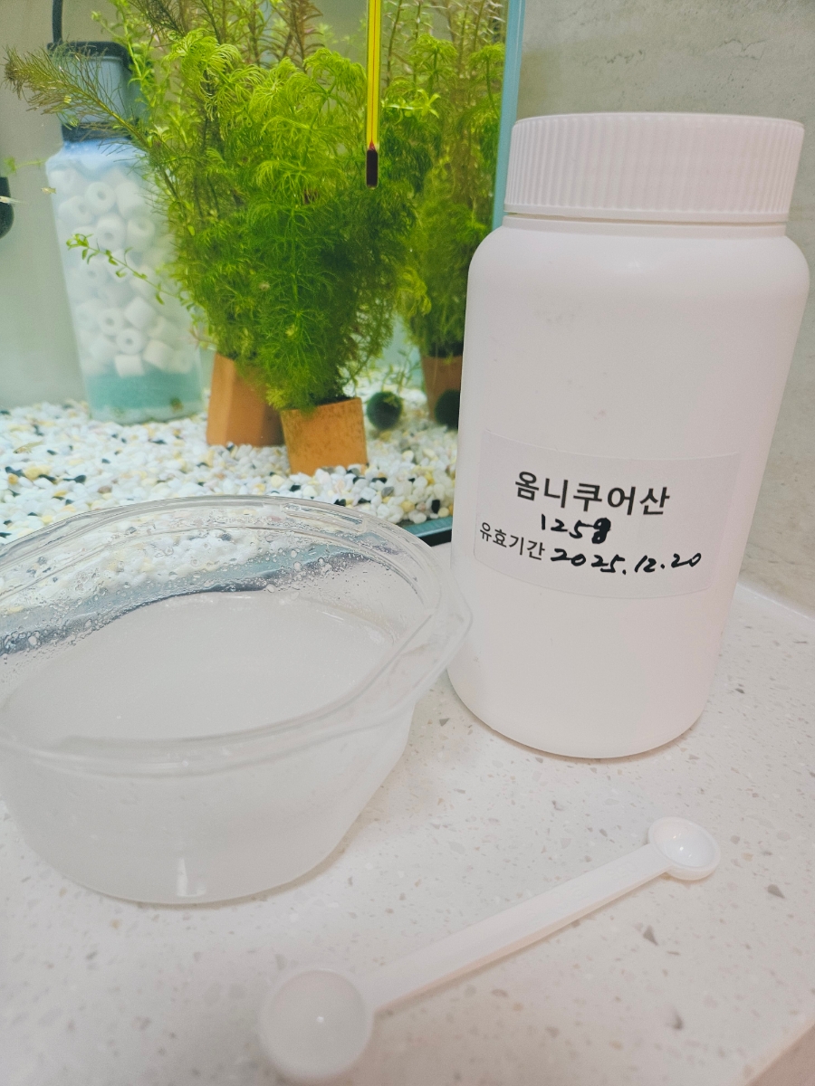 초보물생활 옴니쿠어산 항생제 내부기생충 (약욕 약밥 사용법/인터넷 약국 구입 후기)