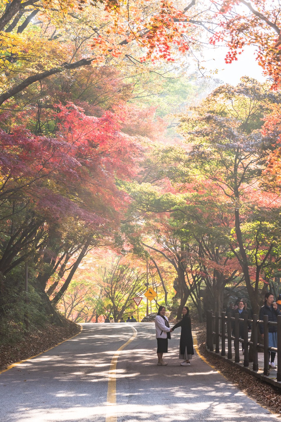[가을 최고의 단풍 명소] 정읍 내장산 국립공원 우화정 단풍 소식 케이블카 셔틀버스 시간