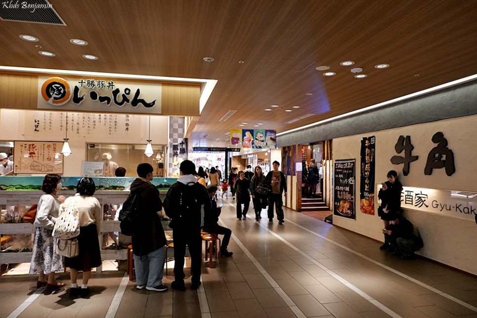 일본 북해도 여행 삿포로 맛집 스텔라플레이스 네무로 하나마루 스시