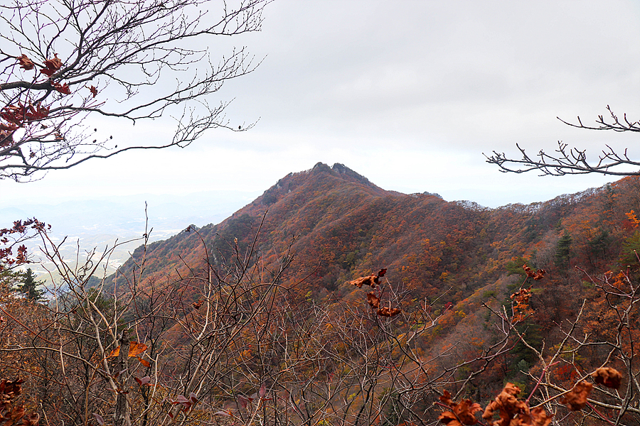 [치악산국립공원] 치악산 가을 단풍산행 / 황골~비로봉 등산코스