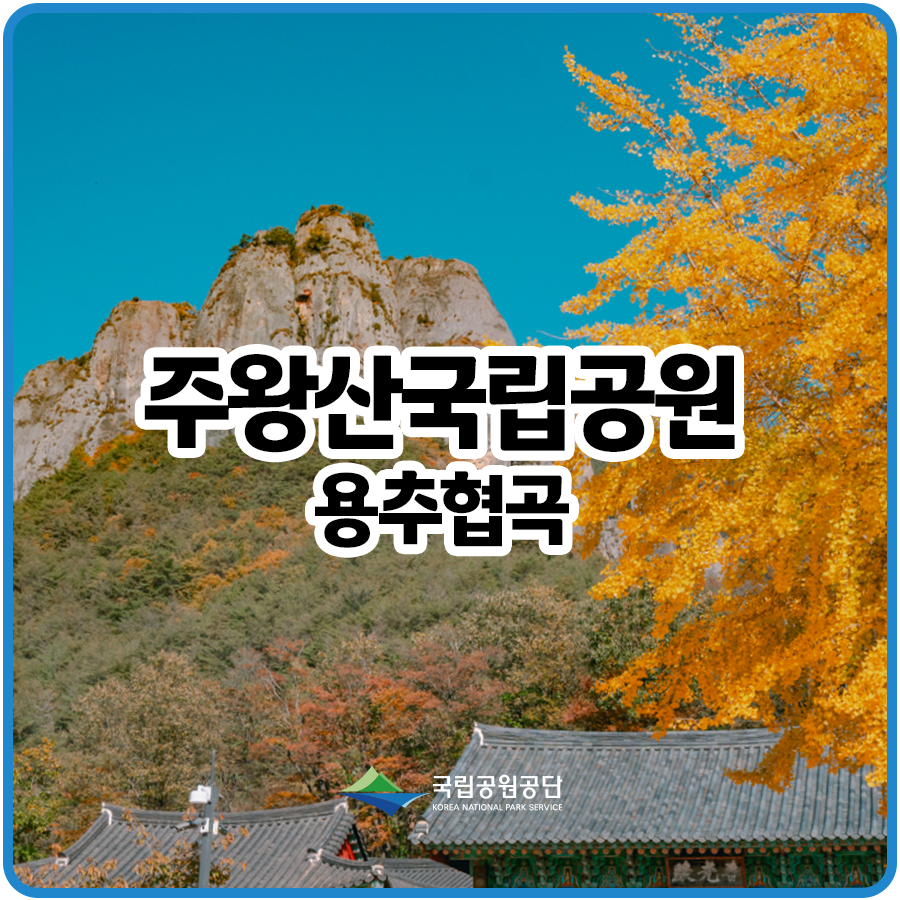 [주왕산국립공원] 경북 대표 단풍 트레킹 코스 용추협곡