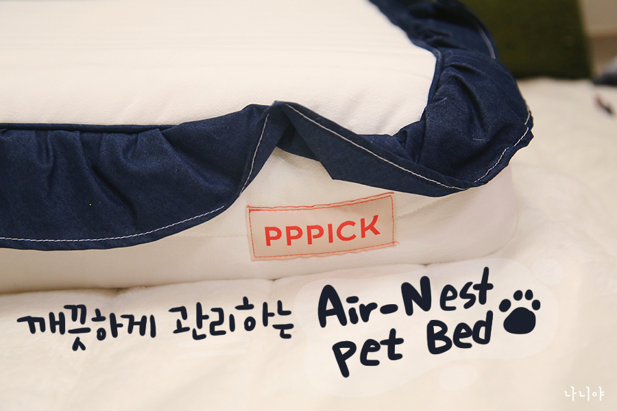 강아지침대 : 피피픽 에어베드 강아지디스크에는 척추 보호해주는 침대로~