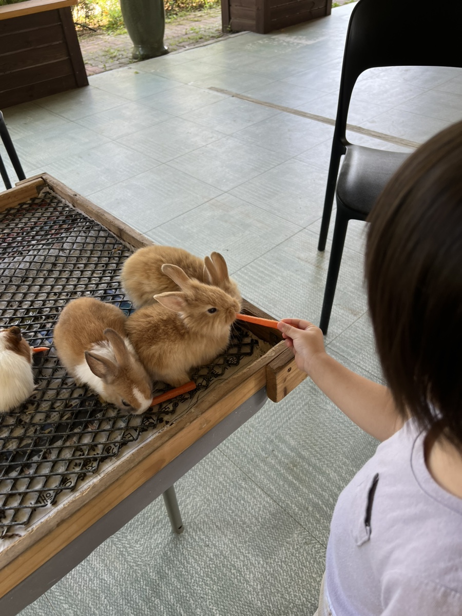 나중에 크라고 부탁 할 수 없는 일.(부제 : 내가 늙어가는건 맘 편하게 모른채하기)