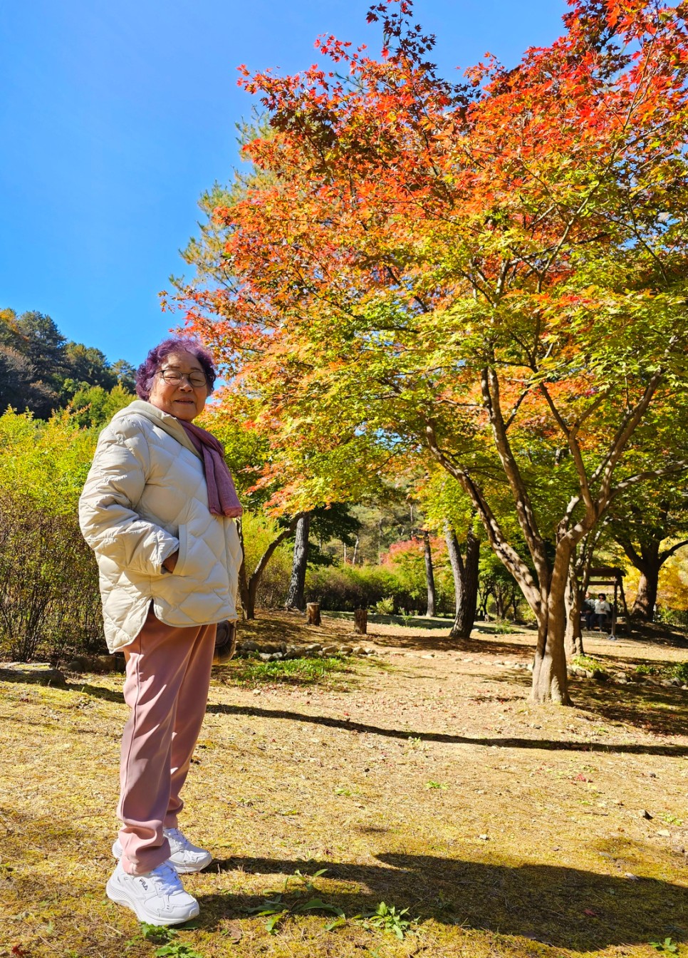 홍천 수타사 단풍 이번 주 절정, 공작산 생태숲 걷기 좋은 곳