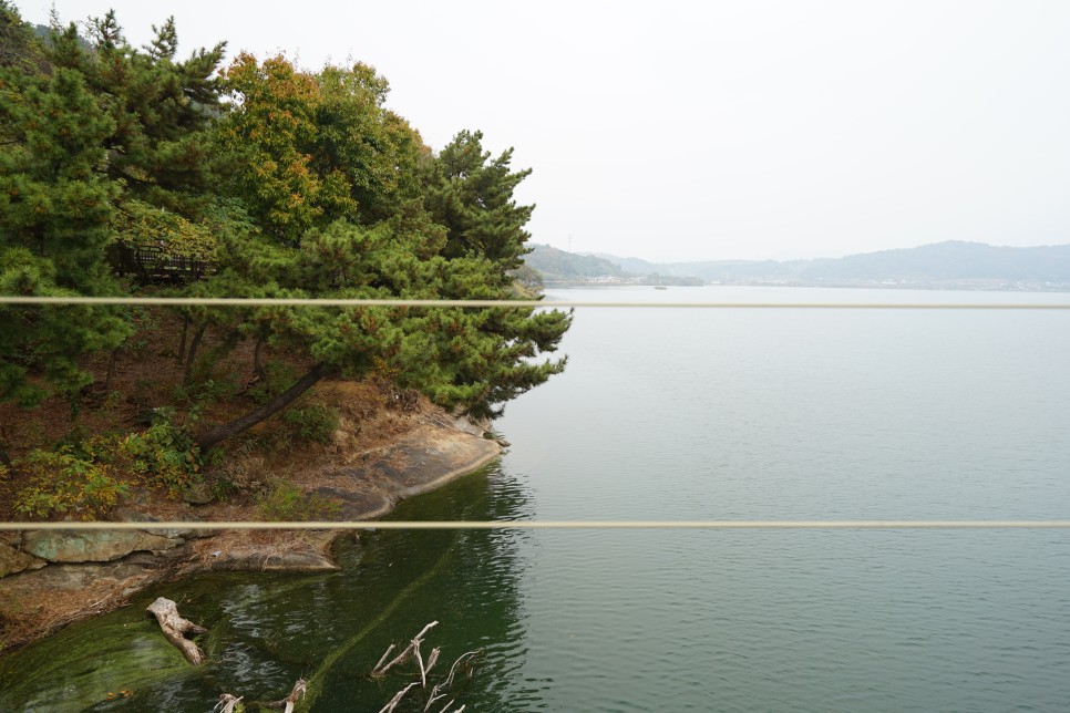 충남 논산 여행지 논산 탑정호출렁다리 다녀왔어요!