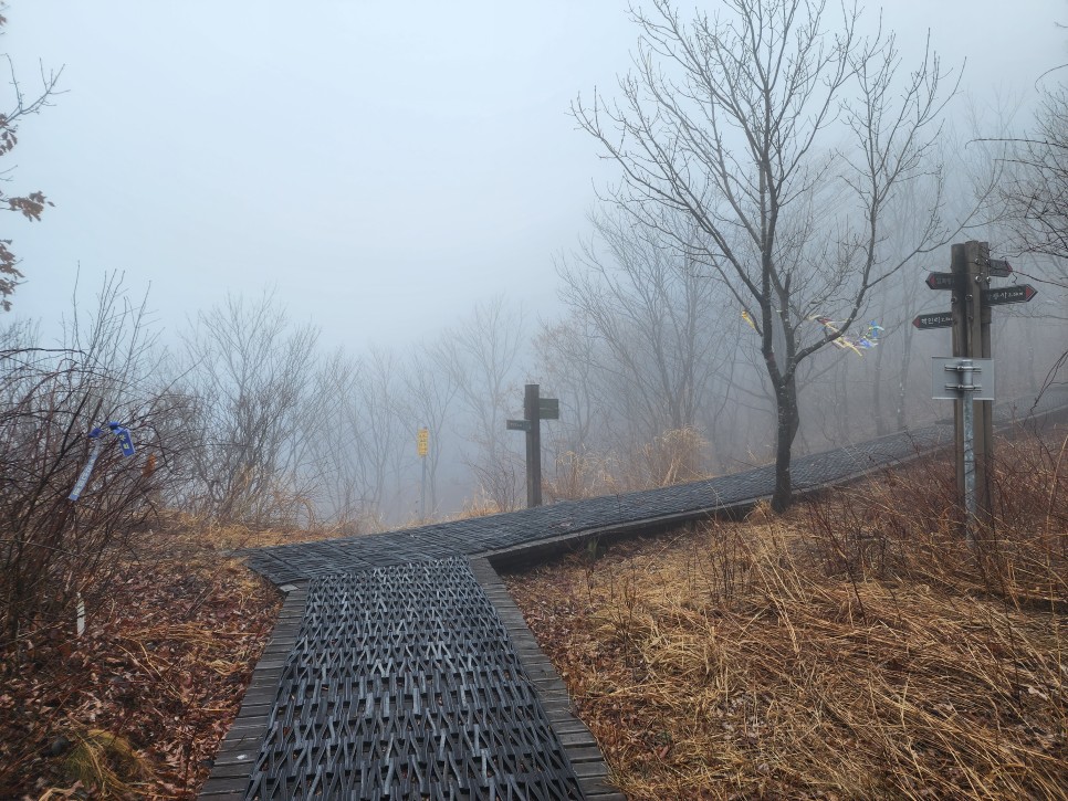 백두대간 29구간(삼마골재-삼도봉-박석산-백수리산-부항령-덕산재) 산행('23.03.25)