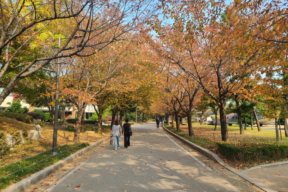 서울 보라매공원 단풍, 보라매공원 주차장 주차요금, 단풍구경 다녀왔어요!