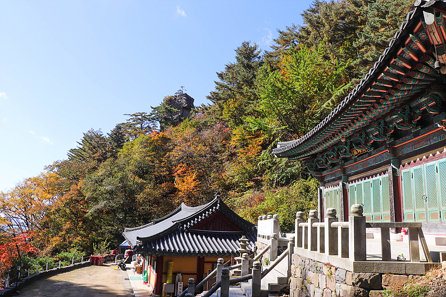 [치악산국립공원] 치악산 가을 단풍산행 / 황골~비로봉 등산코스