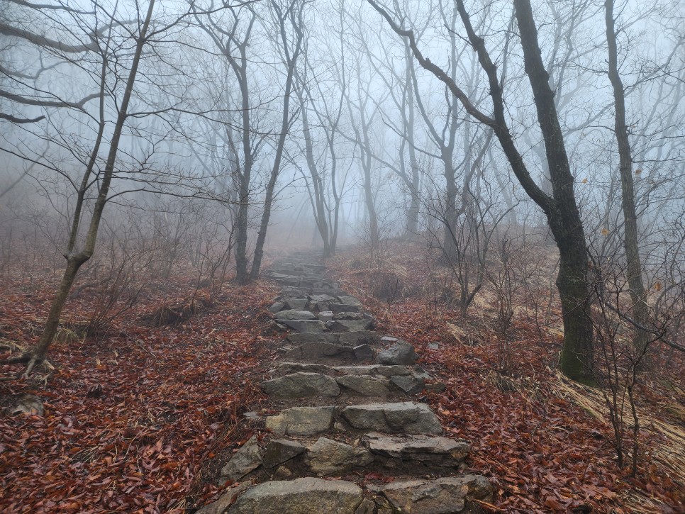 백두대간 29구간(삼마골재-삼도봉-박석산-백수리산-부항령-덕산재) 산행('23.03.25)