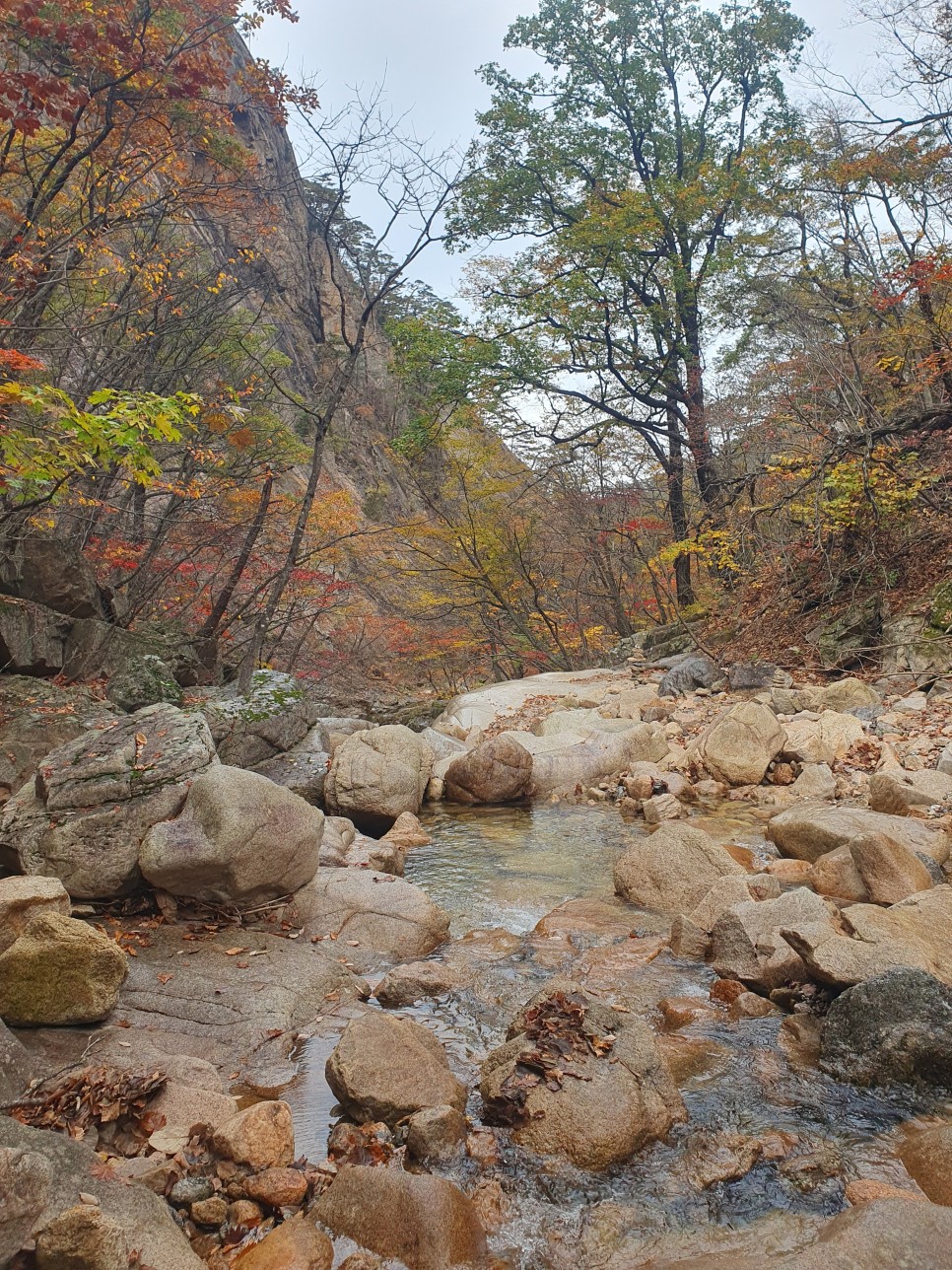 설악산 등산, 토왕골 별을따는소년들 가을 릿지