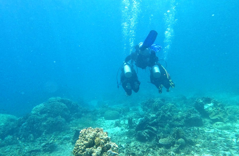 필리핀 보홀 투어 스쿠버다이빙 체험다이빙 추천