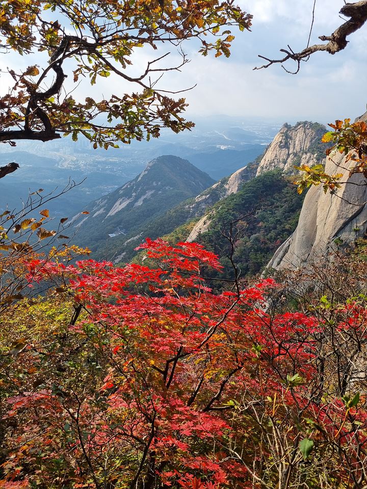 [북한산국립공원] 북한산의 기암절경과 어우러진 환상적인 가을 단풍에 반하다