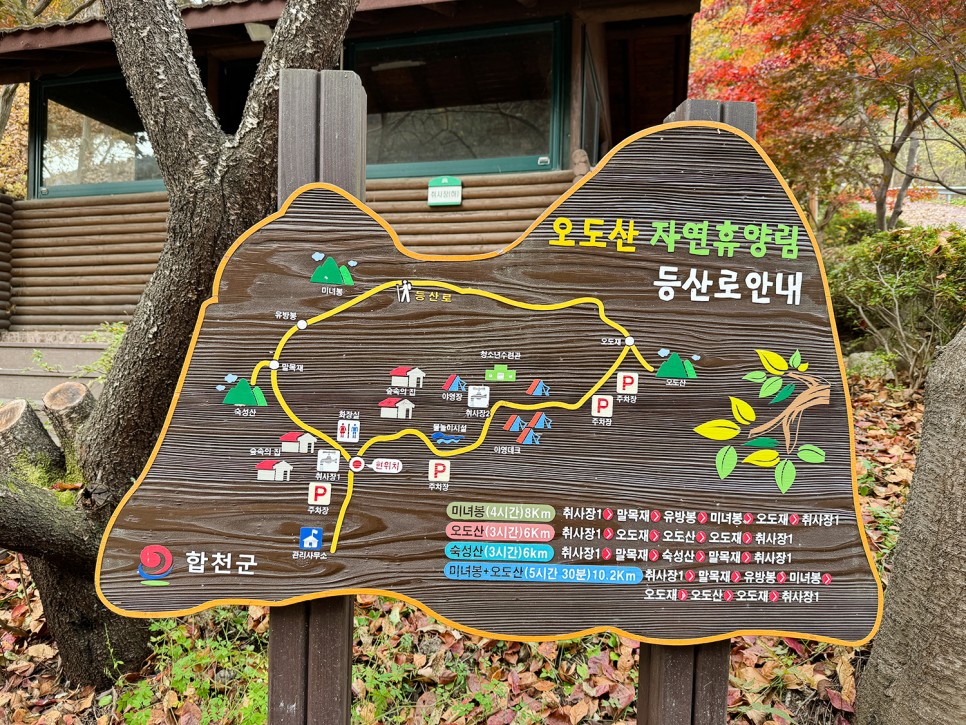 거창 <미녀봉> 능선 산행, 오도산 자연휴양림 출발 원점회귀 코스